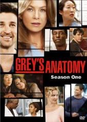 DVD Cover: Grey's Anatomy - Season 1