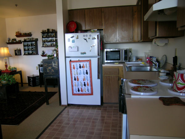 09kitchen (4)